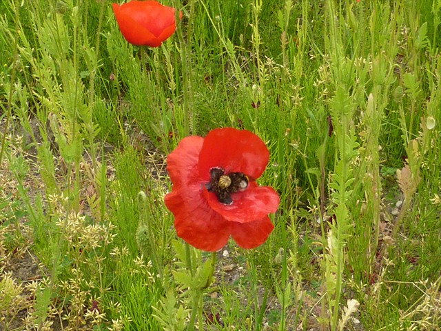 P1060324