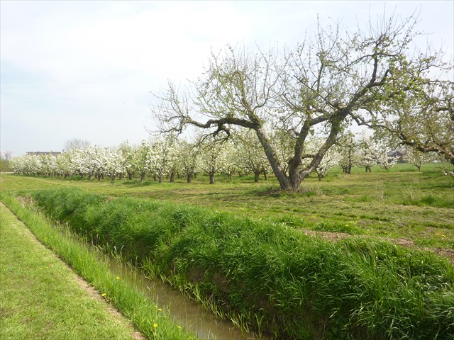P1050813